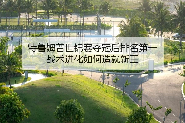 特鲁姆普世锦赛夺冠后排名第一 战术进化如何造就新王