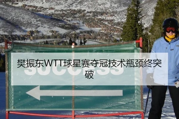樊振东WTT球星赛夺冠技术瓶颈终突破